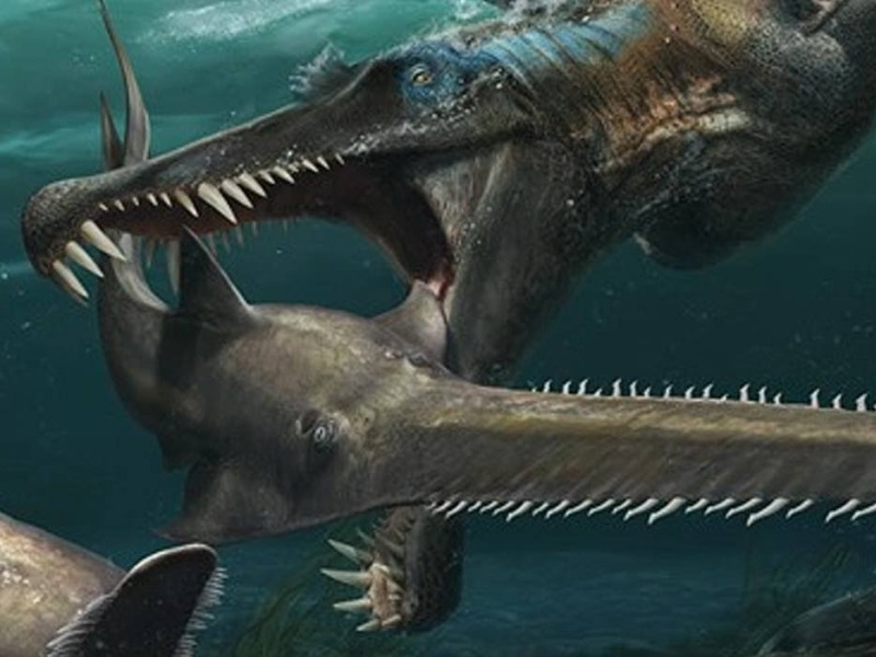 Spinosaurus- The first ever known aquatic dinosaur