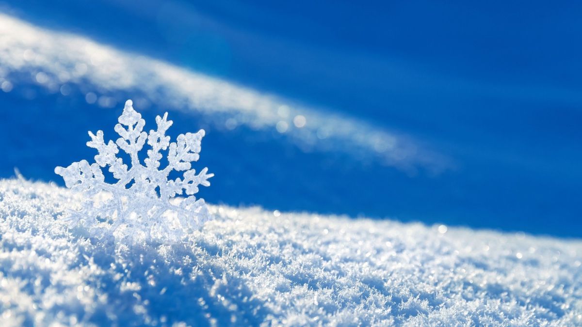 Snowflakes of winter – Breathtaking but not as unique as we thought.