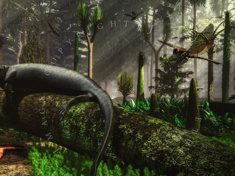 The Carboniferous – A time when giant insects roamed the Earth.