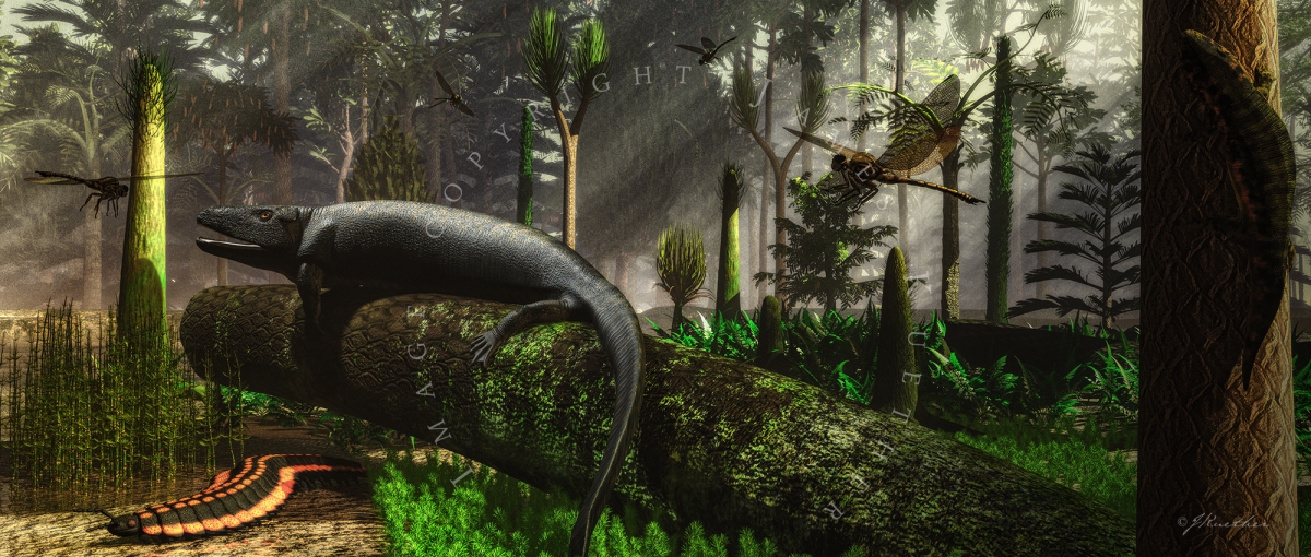 The Carboniferous – A time when giant insects roamed the Earth.