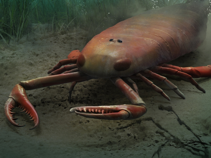 Eurypterids – Underwater scorpions that make modern scorpions look like minnows.