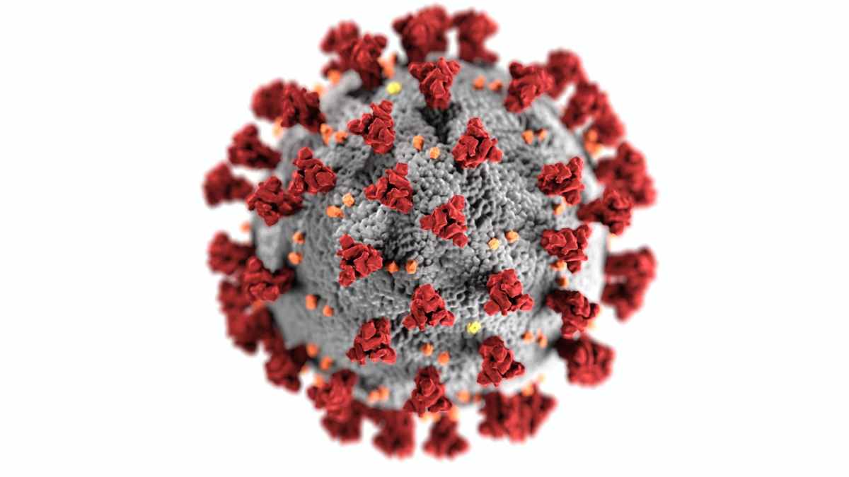 Vaksin II – Coronavirus