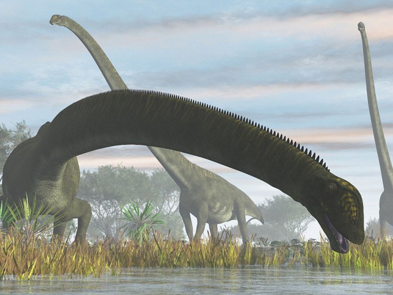 Mamenchisaurus – A sauropod with an extremely long neck