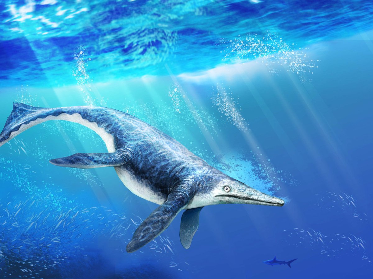 Shonisaurus – Massive marine reptile that roamed the Triassic seas.