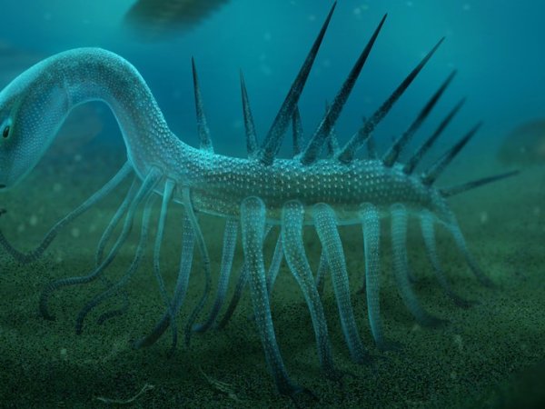 Spiny devils of the Cambrian period