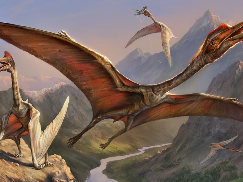 Is the Quetzalcoatlus truly the largest flying animal?